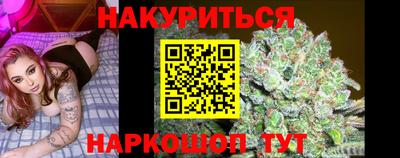 крисы Чебоксары