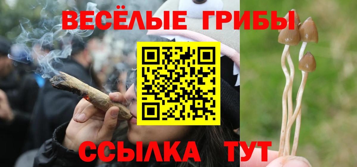 Галлюциногенные грибы Magic Shrooms Гай