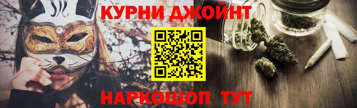 Канабис план Гай
