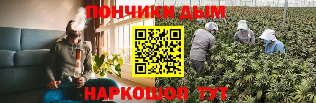 Конопля Bruce Banner  Марихуана MAZAR  МАРИХУАНА сатива  Вход с VPN  Гай 